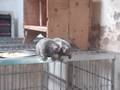 Little monkey tilting their heads