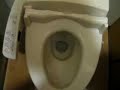 Japanese Toliet Japanese Toliet