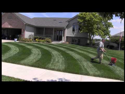 how to fertilize lawn in summer
