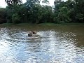 Galerinha Da Educa - Uniararas afundando barco