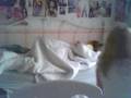 waky waky