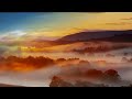 David Born video 3