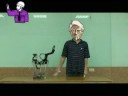 將Wiimote應用在偵測員警的指揮手勢，兩支Wiimote分別代替員警左右手的指揮棒