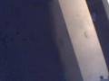 videos de zooe es gay