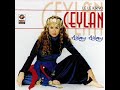 Ceylan 2007 - Yaram ?�erden
