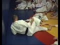 Kyokushin világ