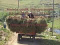 Ardahan / Hanak, 2 Ardahan / Hanak, 2