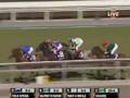 2008 Breeders' Cup Filly & Mare Turf