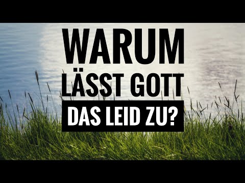 Wilhelm Busch - Warum lässt Gott das ...