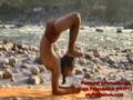 videos de BACKBEND, BACKBENDYOGA, YogaIndia, Yoga in India, Yoga Guru, IndianYogi, NirvanaYoga