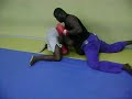 Mussum vs zuluzinho