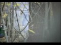 Muster on the Wabash part 3.avi