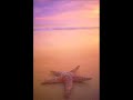 Mario Piu feat More-All I Need (Mas Mix)
