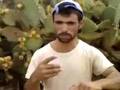 videos de wa3ra