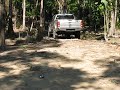 Koh Chang Joungle I Koh Chang Joungle I