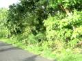 Nusa Penida