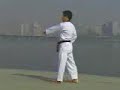 Pumse 1 Taeguk Il Chang