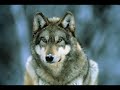 KOCA REiS - OF`lu - KOCA REiS - OF`lu -