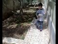 baiatul meu