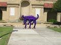 unicow at university