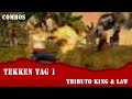 Tributo a Law & King - Tekken Tag