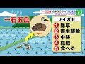 ＊2020年8月10日放送ＳＤＧｓ　“一石五鳥”！？アイガモ農法