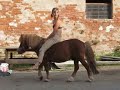 Amazonka P�ja a Fricek divok� pony...