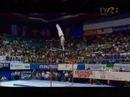 Lausanne, MAG Europeans 2008 Roman Kulesza POL HB EF