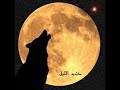 حاتم العراقي الذيب