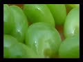 vrindavan   bhindu madhava das