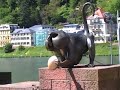 A day out in: Heidelberg