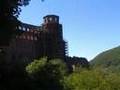 A day out in: Heidelberg