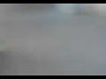 peleas callejeras del chumiga vs pati  en ocampo gto