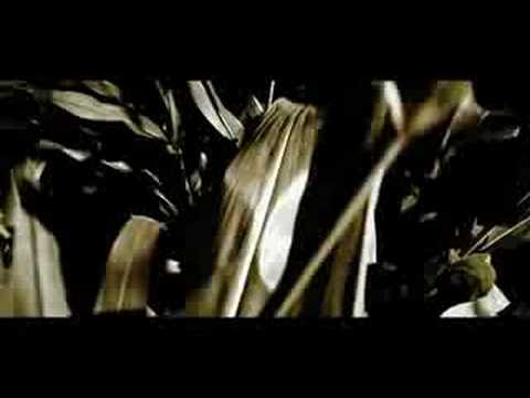 iO: In You