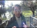 Hong Kong Disneyland Jungle Cruise On Ride POV