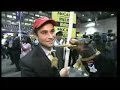 Triumph the Insult Dog at the Hofstra Presidential Debate