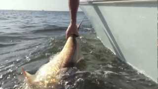 DockSide TV Image
