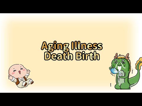 Aging Illness Death Birth