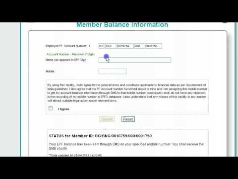 how to check pf balance online in india