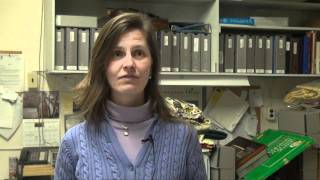 Huronia Museum - Meet the Museum