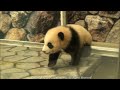 La domenica di AWWW http://www.youtube.com/watch?v=5ZAaR_ihOqQ#