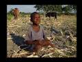 Zimbabwe Call to Action