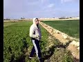 فيدو جامد او اسعد والفقى