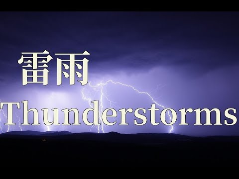 動画
