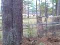videos de Atlanta Investment Property and Atlanta wholesale Property 4112 Maplewood Dr Decauter, Ga