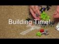 Bionicle Review: Makuta Gorast Mistika
