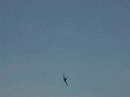 Deurne airshow