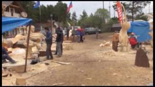 На участие в фестивале деревянной скульптуры «Лукоморье» поступило 100 заявок