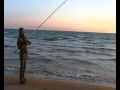 Guarda video