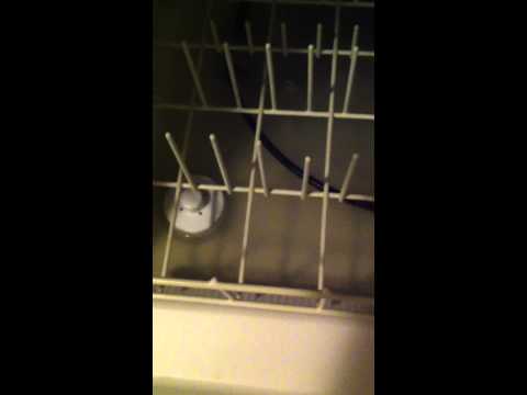 how to get mold out of dishwasher